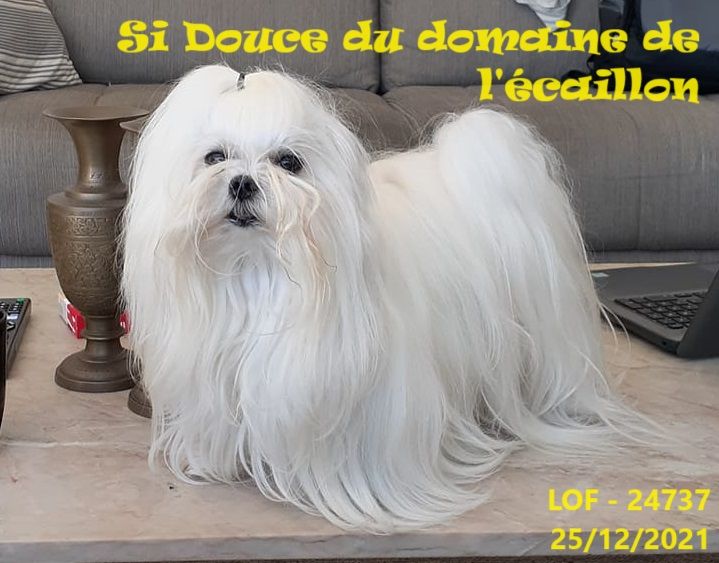Si douce du Domaine De L'écaillon